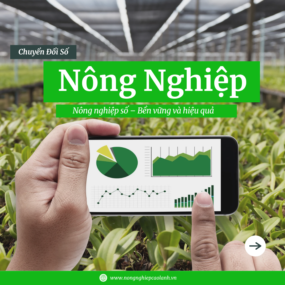 Chuyển Đổi Số Trong Nông Nghiệp: Giúp Nông Dân Canh Tác Hiệu Quả Hơn